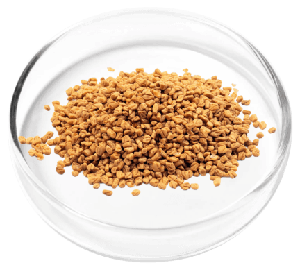 DigestiStart Ingredients