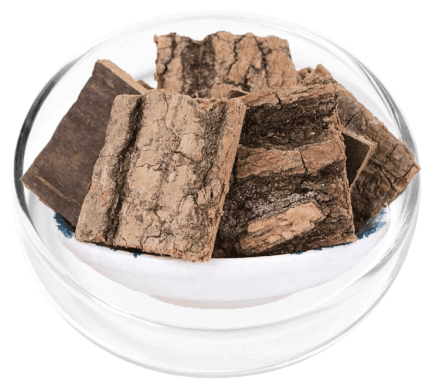 DigestiStart Ingredients