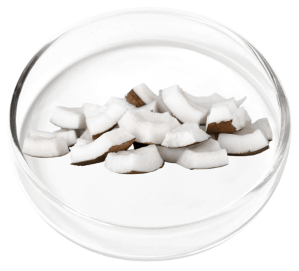 DigestiStart Ingredients