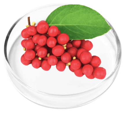 DigestiStart Ingredients