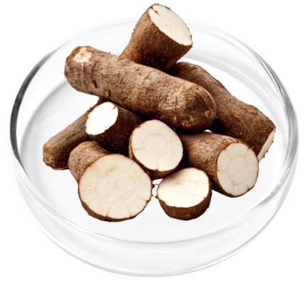 DigestiStart Ingredients