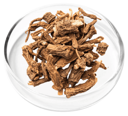 DigestiStart Ingredients